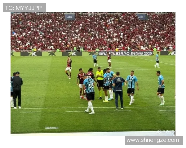 庞特普对阵弗拉门戈精彩对决揭示巴西足球新格局与未来发展潜力 庞特普对阵弗拉门戈精彩对决揭示巴西足球新格局与未来发展潜力