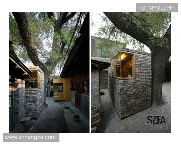 袁堂文：探索历史与文化交融的智慧之旅